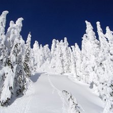 Foto: Charlotte &Aring;kerlund. &Aring;kare:  -.