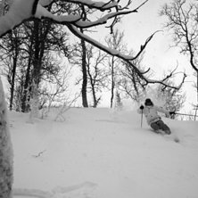 En vakker dag med masse pow!. Foto: Stian Aspelund. &Aring;kare: Lars J&oslash;rgen R&oslash;v.