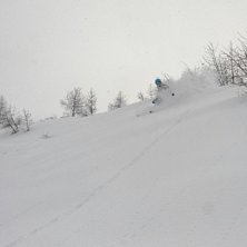 Foto: Jerry Bengtsson. &Aring;kare: Gustav Holmer.