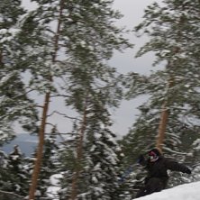 speed. Foto: Carl Danielsson. &Aring;kare: Alessio Fioriniello.