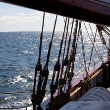 Foto: Maja Hall&eacute;n.