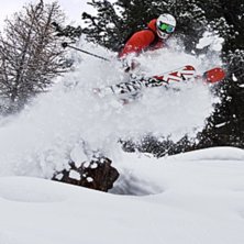 Stubb skutt. Foto: Adam Jonsson. &Aring;kare: Robin Ljungqwist.