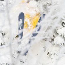 Tr&aring;ngt! Notera granen till h&ouml;ger, den f&ouml;ljde me. Foto: Jesper Molin. &Aring;kare: Henrik Utter.