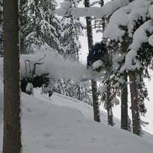 favoritskogs&aring;ket bad gastein. Foto: caroline. &Aring;kare: viktor ronnert.