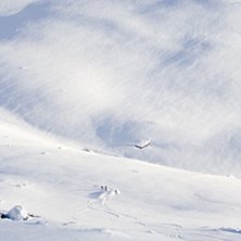 Slutet av ett h&auml;rligt &aring;k.. Foto: Johan Karlsson.