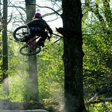 ...en fet table av the man himself...Oski. Foto: Benjamin Johansson. &Aring;kare: Oskar Petersen.