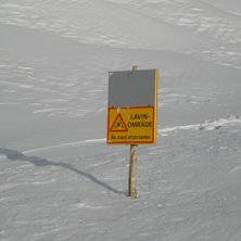 najs. Foto: olav &aring;kra.