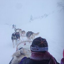 Lindvallen/Högfjället Foto