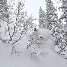 Foto: Filip W&auml;stberg. &Aring;kare: Martin Jemdahl.