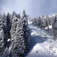 Foto: Jan Walerych. &Aring;kare: Artur Walerych.