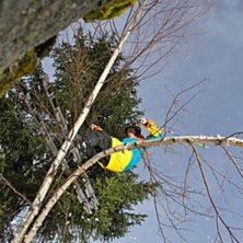 Tailpress. Foto: Petter Levin. &Aring;kare: Anton Lind.