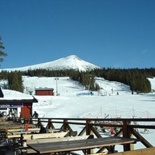 En bild tagen fr&aring;n caf&eacute;ets uteservering, upp mot. Foto: Carolin Sundvik.