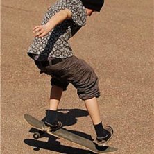 landa p&aring; en bonless. Foto: stefan hamreus. &Aring;kare: malte hamreus.