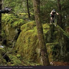 Foto: Sterling Lorence.