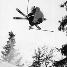 En clean Mute. Foto: Winges Fj&auml;ll foto. &Aring;kare: Patrick Withfeldt.