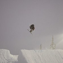 Dubbelmute. Foto: Christer Lund. &Aring;kare: Simon Ahl&eacute;n.