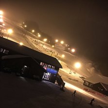 Stolheisen g&aring;r????
Fine forhold i bakken !:) 

.