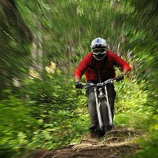 Har anv&auml;nt mig av exploderande zoom omkring 300mm. Foto: Erik Westberg.