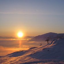 solug&aring;ng i gr&auml;nsleden 1. Foto: J&ouml;rgen Eriksson.