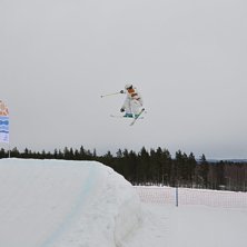 540. &Aring;kare: Tim Morelius.