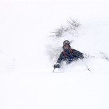 Fluffigt v&auml;rre. Foto: Troels Thomsen. &Aring;kare: Mikael J&ouml;nsson.
