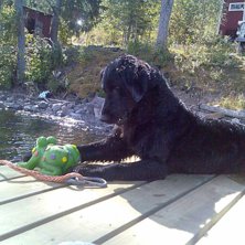 Foto: jonny &ouml;hrn. &Aring;kare: Troll.