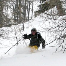 Djupt nr 5 i l&auml;rkskogen. Foto: Peter Karlsson. &Aring;kare: Sture &Aring;gren.