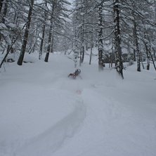 Foto: Bj&ouml;rn Gannsj&ouml;. &Aring;kare: Busca.