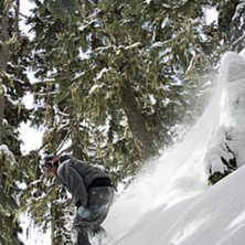 Lite h&auml;rligt v&aring;rpuder i bra v&auml;der, med ett leen. Foto: Per Nyberg. &Aring;kare: Emil Rydell.