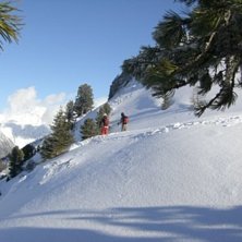 Foto: Tobias &Ouml;str&ouml;m. &Aring;kare: Anton Lif Daniel Blom.