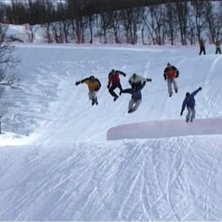Foto: Vet ej namn &auml;r en Norsk SledDogs &aring;kare. &Aring;kare: 5 av dom norska &aring;karna.