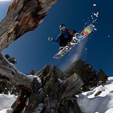 Foto: PP. &Aring;kare: Niklas Hollsten.