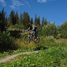 Foto: M.St&aring;l Sj&ouml;berg. &Aring;kare: Per Jonsson.