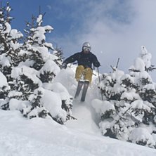 Foto: Thomas Dessen Nielsen. &Aring;kare: David K&auml;llstr&ouml;m.