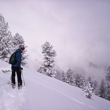 P&aring; v&auml;g mot lite sk&ouml;n skogs&aring;kning i nyfallen pu. Foto: Anna-Lena Lindstr&ouml;m. &Aring;kare: Martin Peeker.
