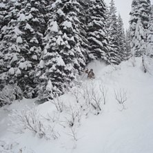 en helt okej dag i Fernie . Foto: anna karlstr&ouml;m. &Aring;kare: Daniel Laven.