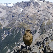 Foto: sara mattsson.