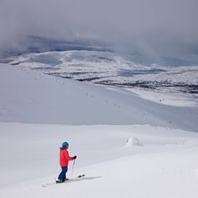 Micke i Tv&auml;r&aring;valvet, 3:e maj 2015. &Aring;kare: Mikael Puffert.