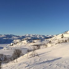 Nok en nydelig dag p&aring; gang!
I dag er morgenbildet.