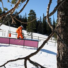 Oskar slaktar s-ledge.... Foto: Jesper Tengvall. &Aring;kare: Oskar Brandberg.