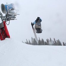 Foto: linus. &Aring;kare: erik bergstr&ouml;m.