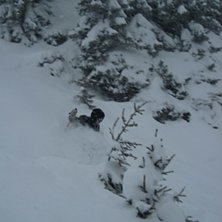 Foto: Jesper B. &Aring;kare: Maria Lund.