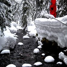 sn&ouml;.. Foto: cistel. &Aring;kare: jag.