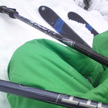 skogen i romme ;o. Foto: August Ulvdell.