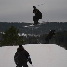 Foto: Carl danielsson. &Aring;kare: Allele.