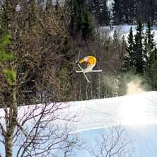 Sw7 stiffy nosemute. Foto: Yngve Staberg. &Aring;kare: Johan Kristofers.