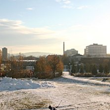 St&ouml;rtsk&ouml;n h&ouml;stdag i Oslo. Piffen tricksar en bl. Foto: Johan S&ouml;derlund. &Aring;kare: Kristoffer &amp;quot;Piffen&amp;quot; Edwall.