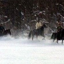 Foto: Timo. &Aring;kare: Jag &amp;amp; Kingen.