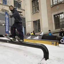Winter Show i Kungstr&auml;dg&aring;rden 2014.. Foto: Hedda Berander.