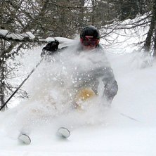 Djupt nr 6 i l&auml;rkskogen. Foto: Peter Karlsson. &Aring;kare: Sture &Aring;gren.